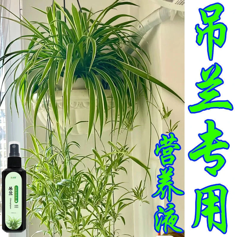 吊兰营养液植物爆根剂养花助生长催芽防烂根均衡土壤酸碱配方肥料