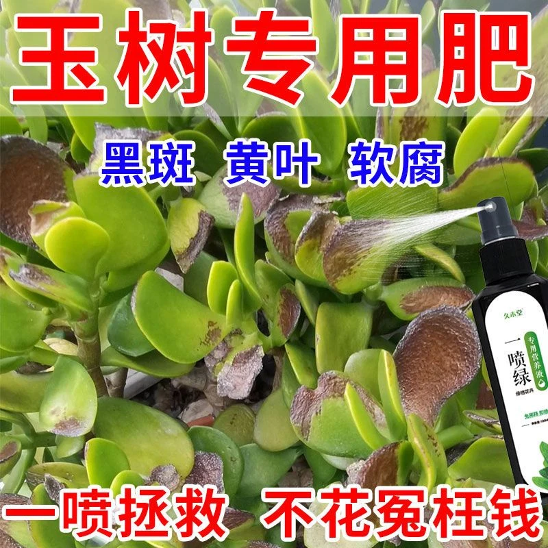 拯救】玉树专用营养液肥料急救黄叶掉叶黑斑软腐不开花免稀释直喷
