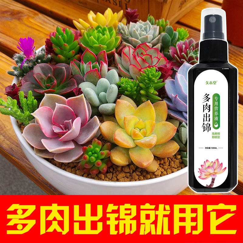 多肉出锦剂金枝玉叶变色药增色增肥变红营养液锦宝素