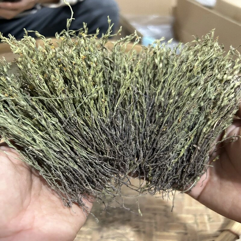 独脚金云安农产品  10克/20克/50/煲汤料，农产品食品