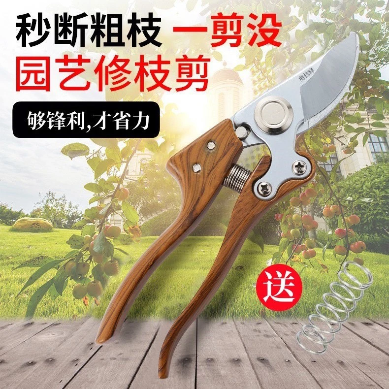 日本进口SK5钢修枝剪园林家用工具果树果园剪刀园艺花剪子粗枝