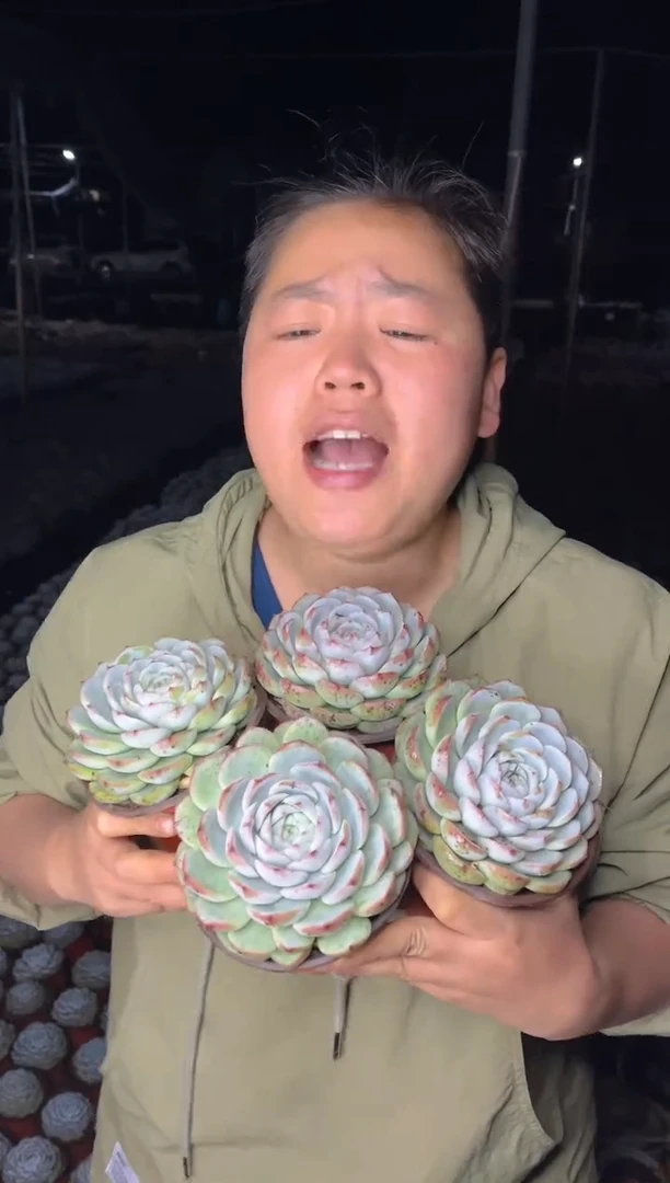 【闪购商品】32-单头起粉水晶10cm四颗9.99