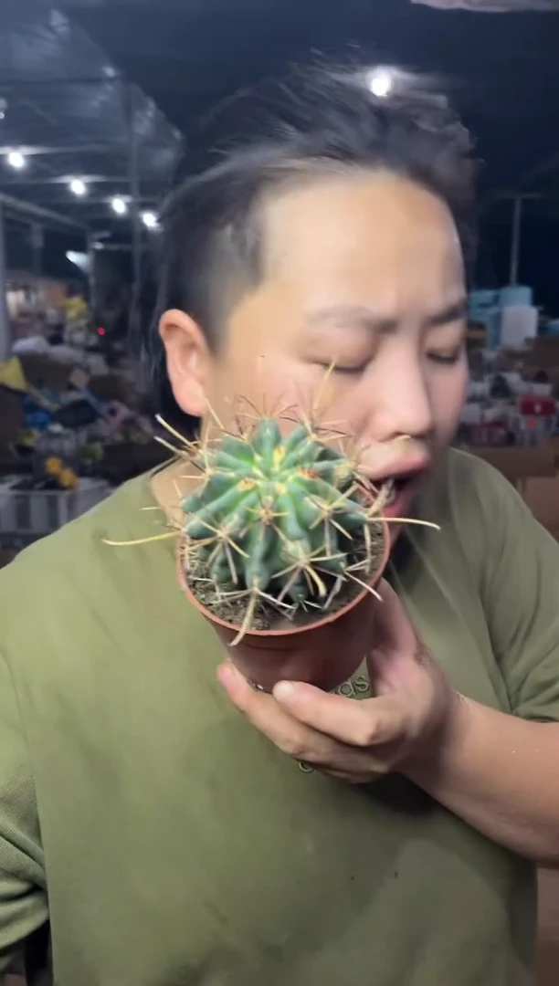 【闪购商品】7.30-37黑罗刹9.99