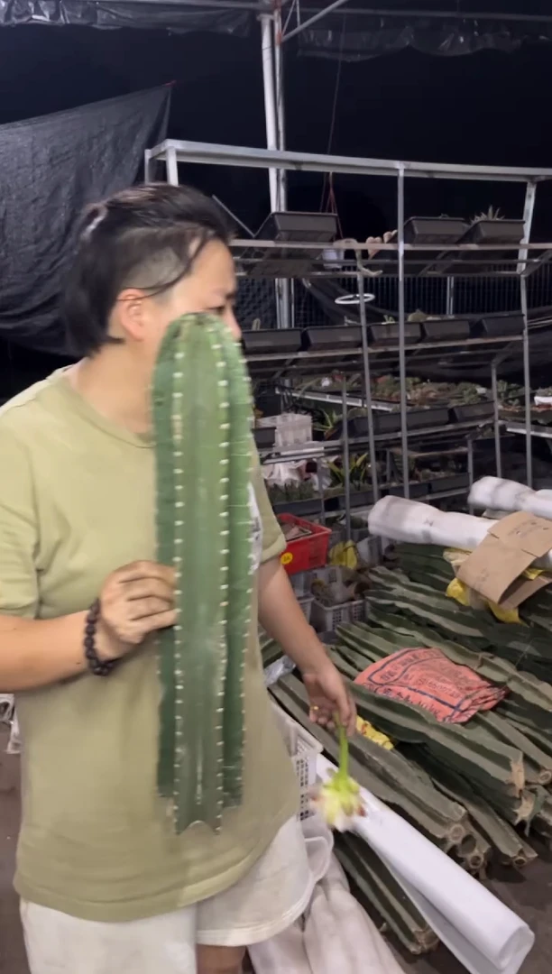 【闪购商品】7.21-70量天尺50CM19.99