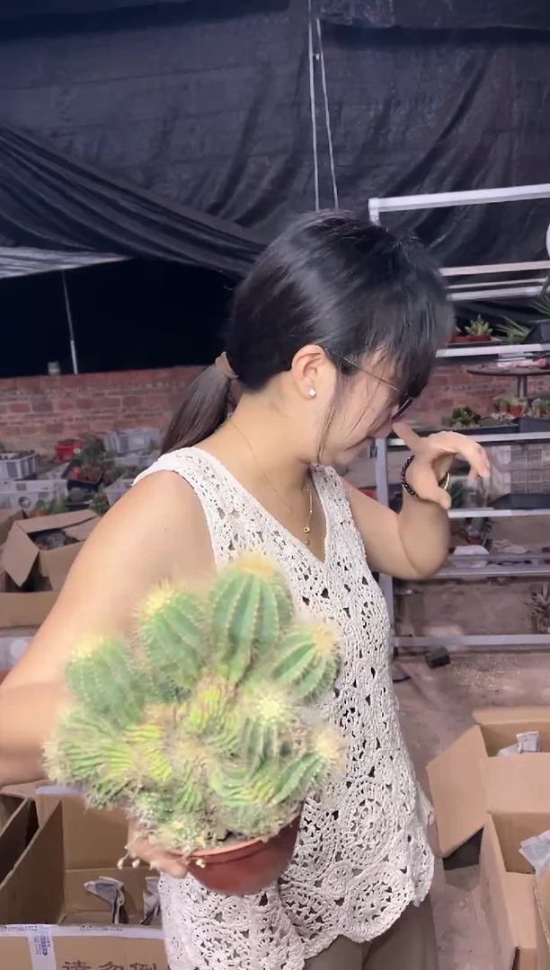 【闪购商品】8.19-41金冠缀9.99