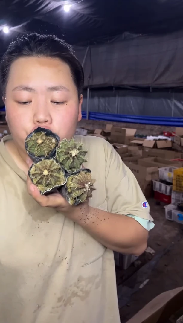 【闪购商品】7.22-37米哈4颗5.99