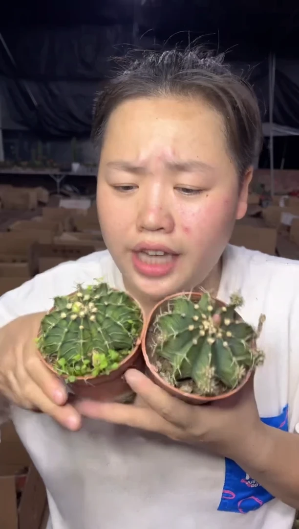 【闪购商品】8.27实生大肋骨2颗9.99