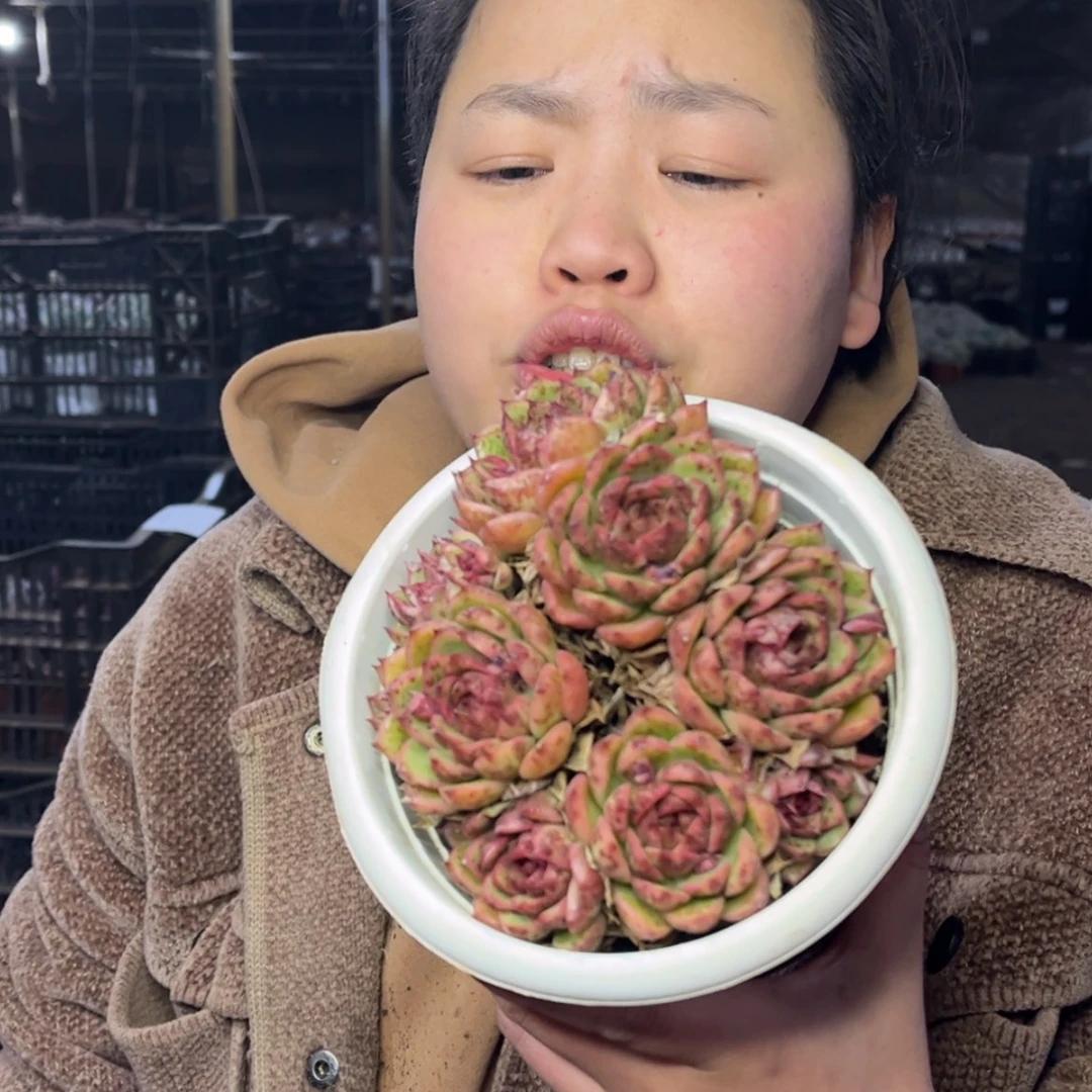 【闪购商品】1.4-86多头黑水晶