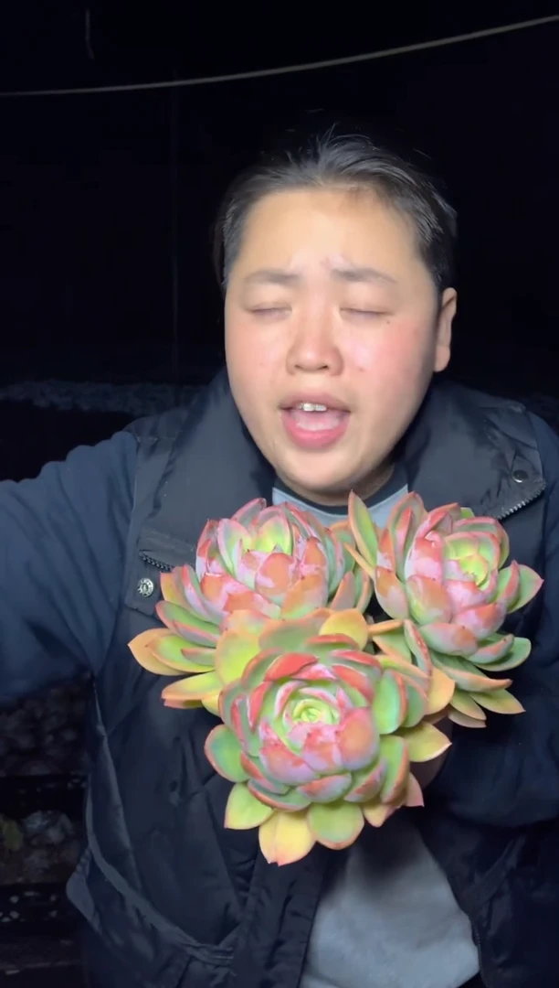 【闪购商品】43三头大绮罗18-20cm7.8