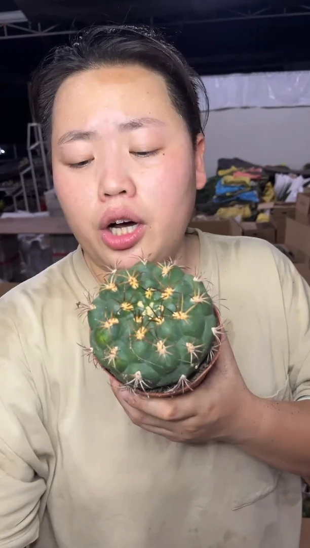 【闪购商品】7.22-21新世界实生9.99