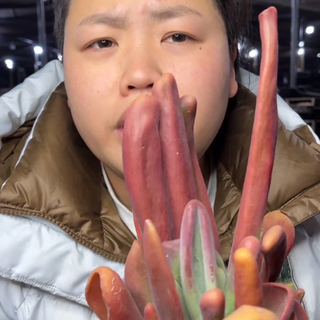 【闪购商品】12.29-134小号火狐狸