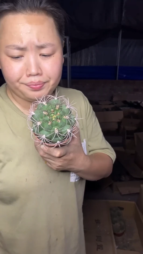 【闪购商品】7.21-58实生新天地小号9.99