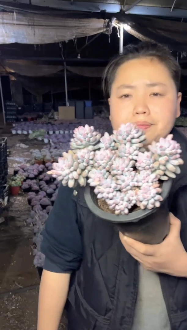 【闪购商品】57新货控养婴儿手指9.99