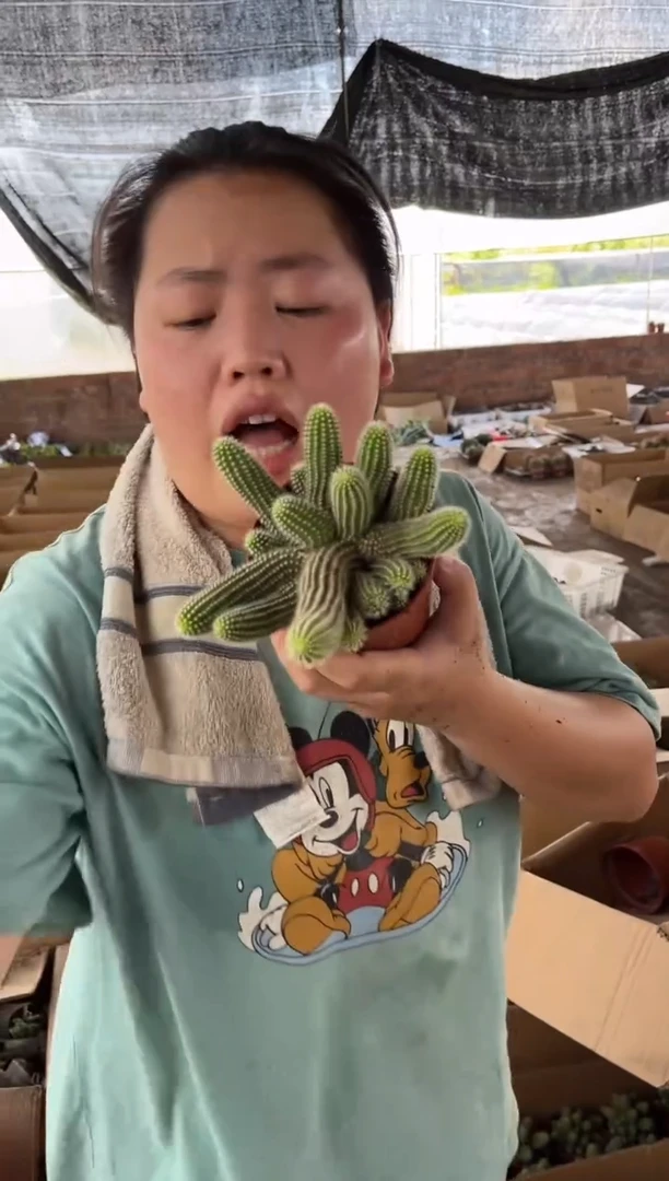 【闪购商品】7.16-24吕根岛日落大群13.99