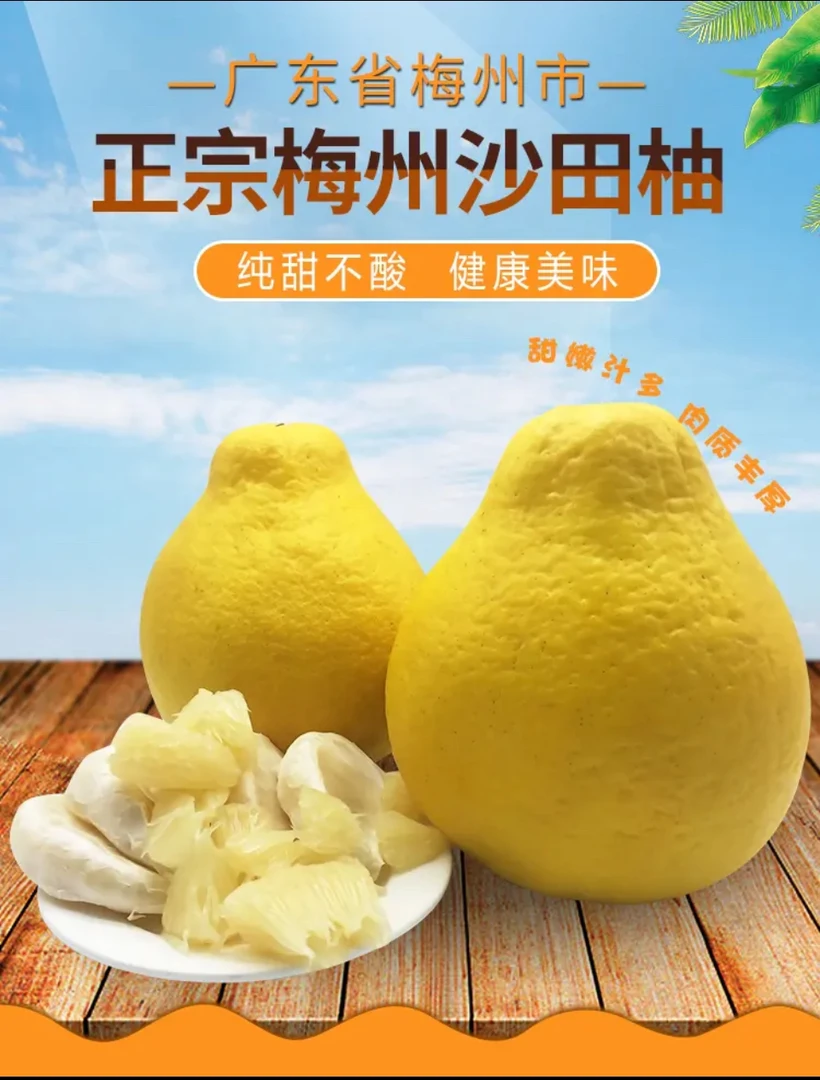 梅州松口高山老树沙田柚