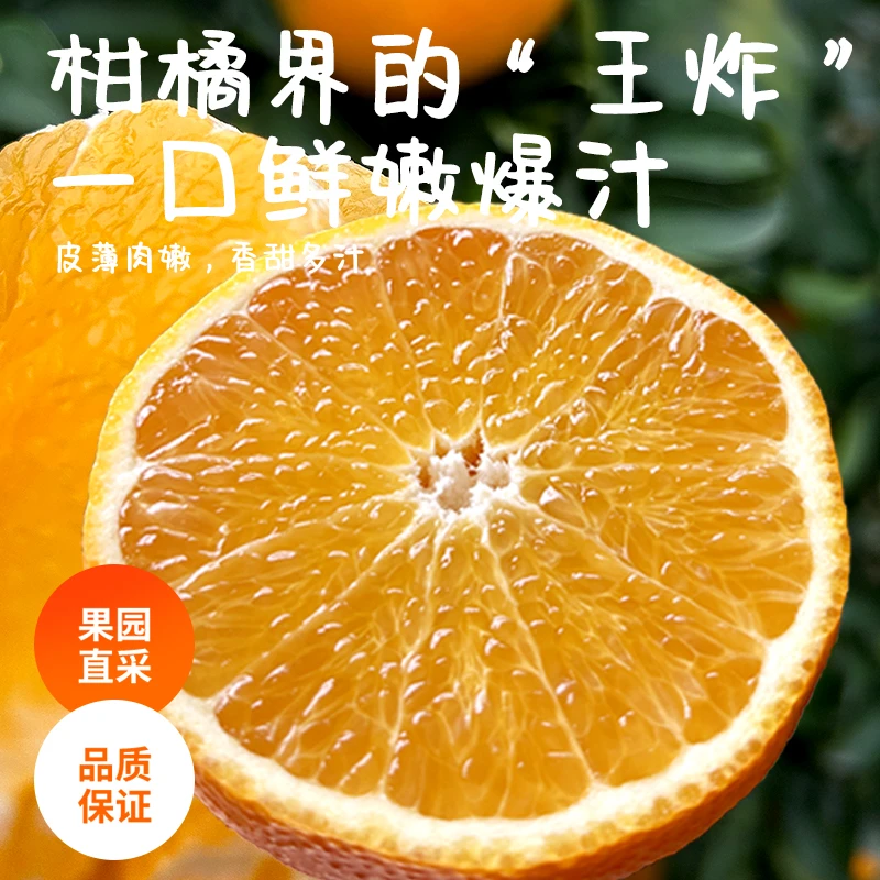 爱媛38号果冻橙新鲜橙子水果当季整箱橘子四川蒲江蜜桔子大果特产