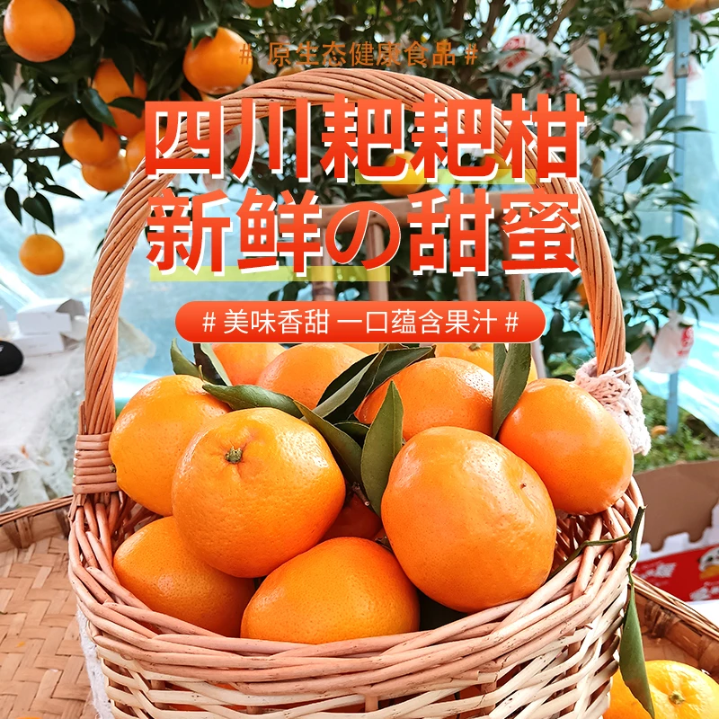 耙耙柑水果粑粑柑正宗四川丑橘春见新鲜当季新鲜橘子香甜皮薄果粒