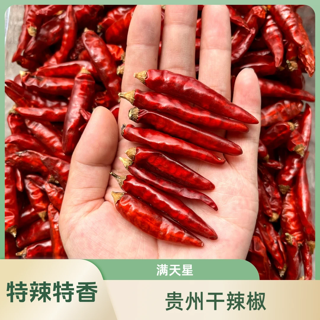 【特辣特香】贵州满天星干辣椒