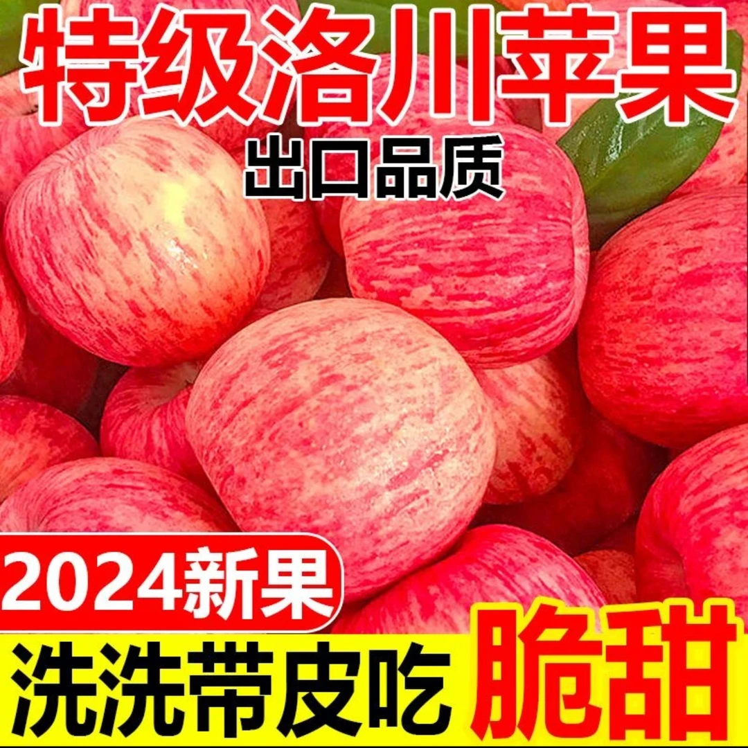 洛川红富士三十年老树拍5斤送5斤坏果包赔冰糖心大果