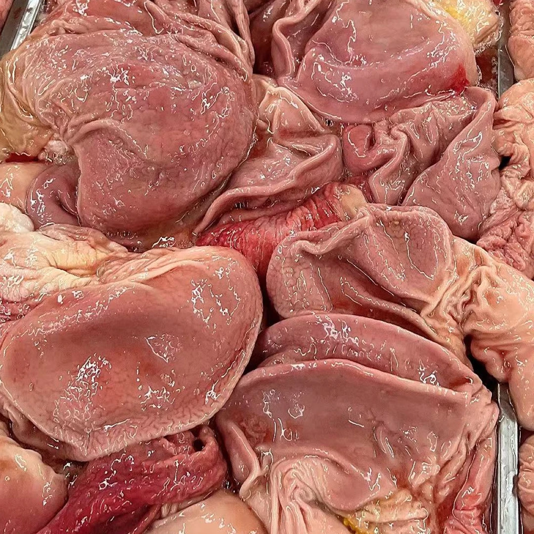鲜猪肚-东北直发（5斤包邮）优质精品精选