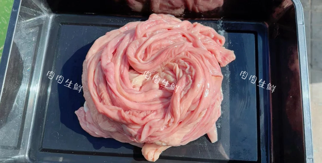 猪苦肠 5斤包邮新鲜餐饮商用家用优质精品精选