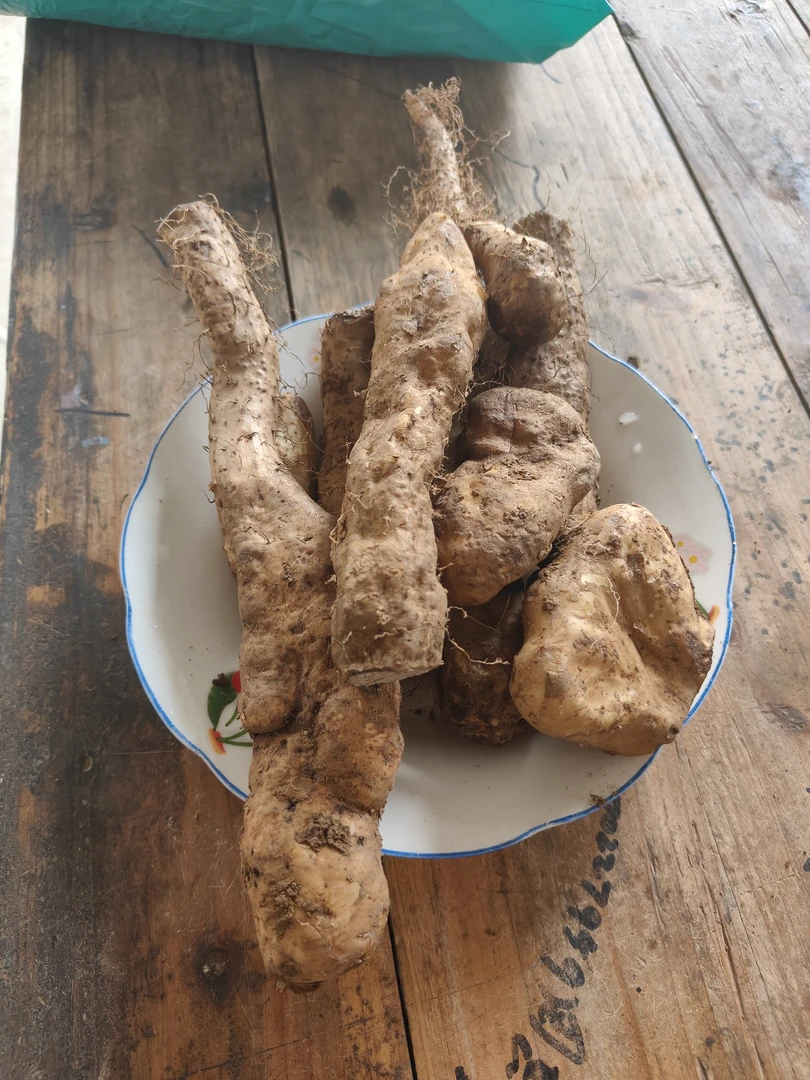 瑞昌新鲜山药头.滋补养生香粉糯