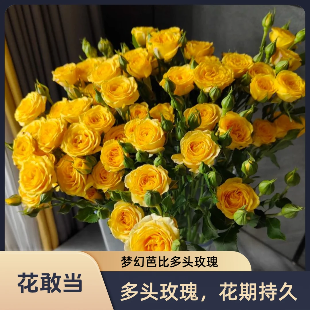 【花敢当】梦幻芭比多头玫瑰 家用生活鲜花 云南鲜花基地顺风发货