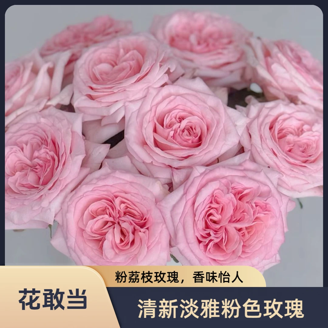 【花敢当】粉荔枝玫瑰 有香味 家用生活鲜花 云南鲜花基地顺风发货