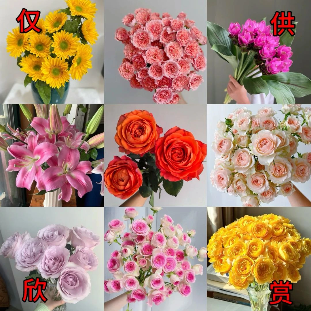 【一箱一拍 9月23日】001-100 对准编号下单❤一箱顺丰/京东发❤鲜花