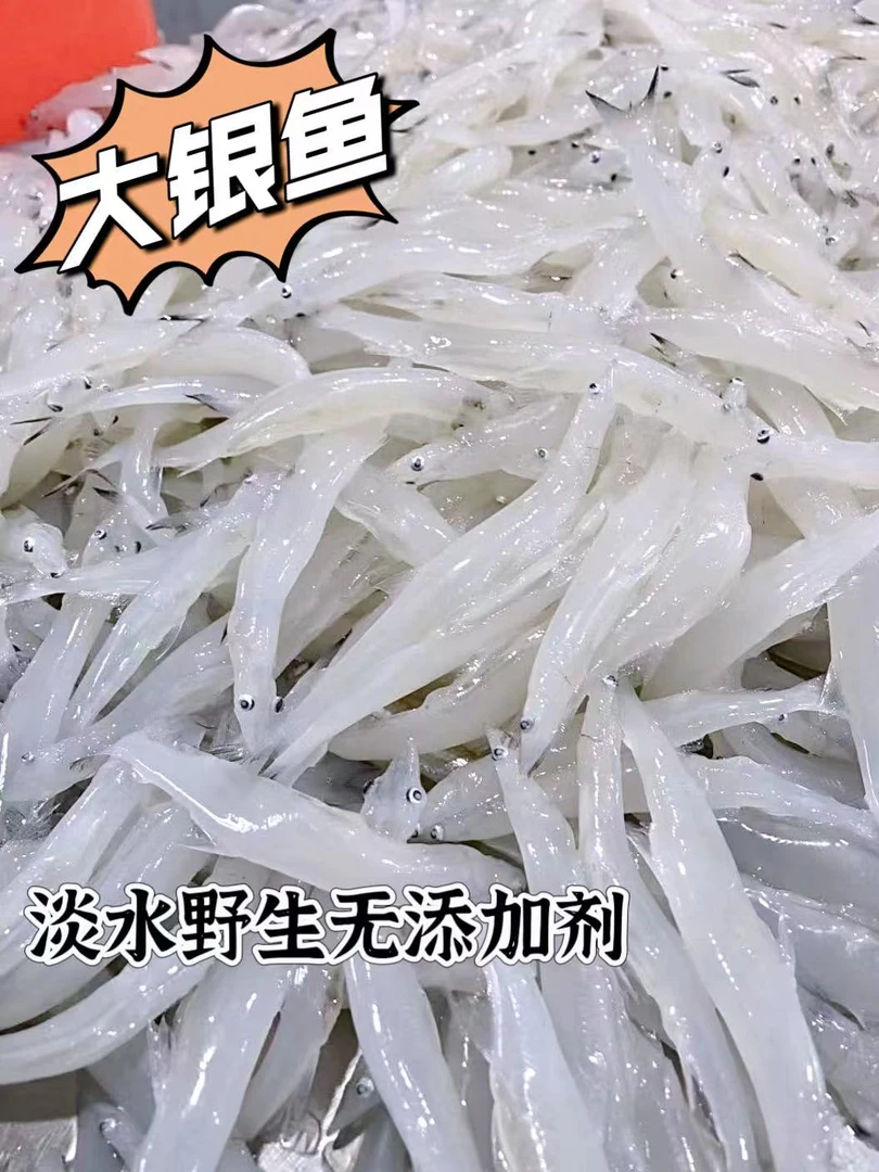 【波哥专属】淡水野生银鱼,活体速冻,独立包装