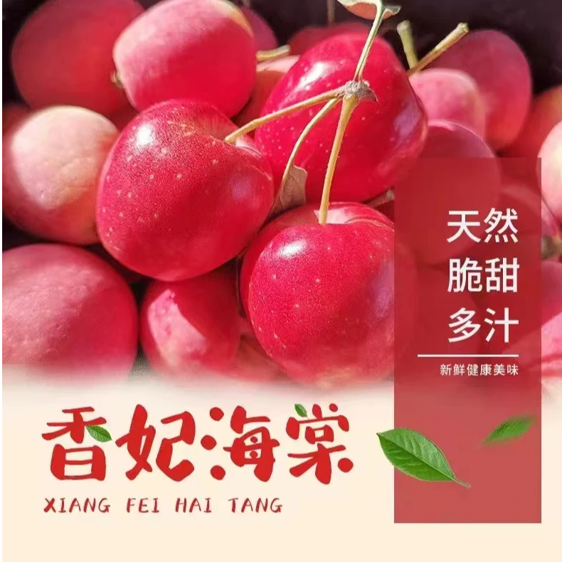 【新疆直发】大果正宗香妃海棠脆甜多汁新鲜现摘先发新鲜鸡心果2斤