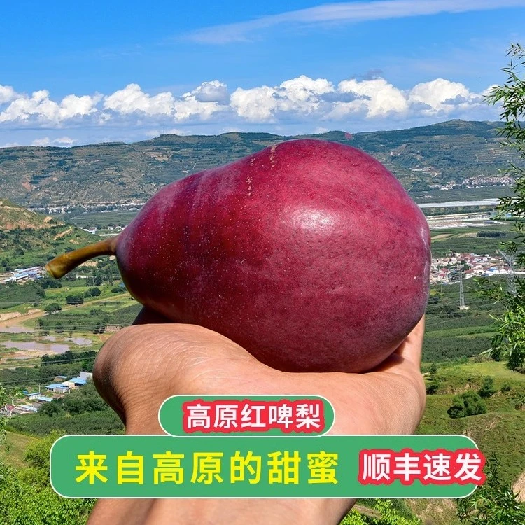 demeiguo/德美果顺丰甘肃高原红啤梨当季新鲜梨啤梨软梨5/9斤包邮