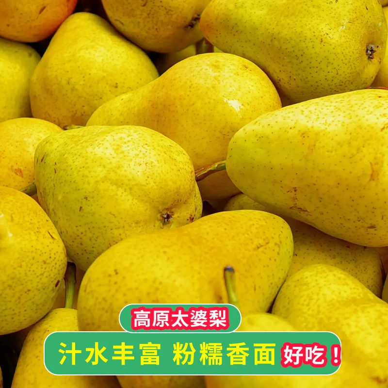 demeiguo/德美果甘肃香蕉梨太婆梨新鲜大头梨茄梨软梨香甜5/9斤