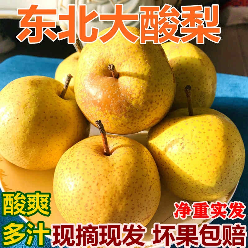 辽宁特产酸梨新鲜水果多汁无渣1-5包邮可做酸梨膏孕妇安梨烂酸梨