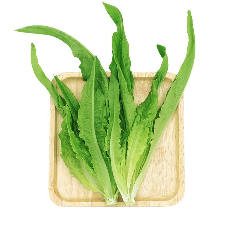 【蔬菜】毛油麦菜约1000g
