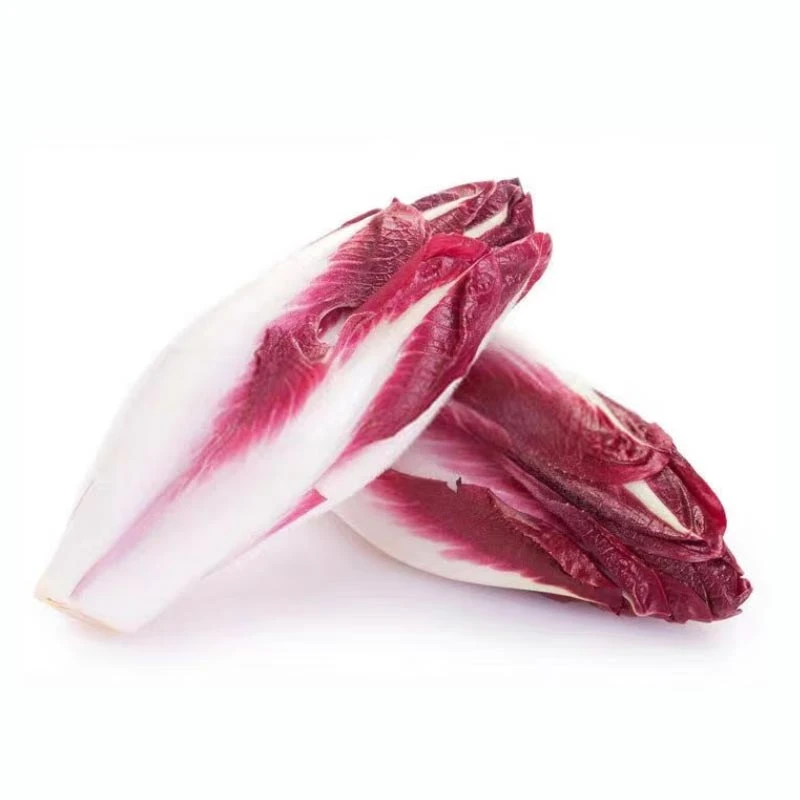 【春菜】红玉兰（盒）约150g