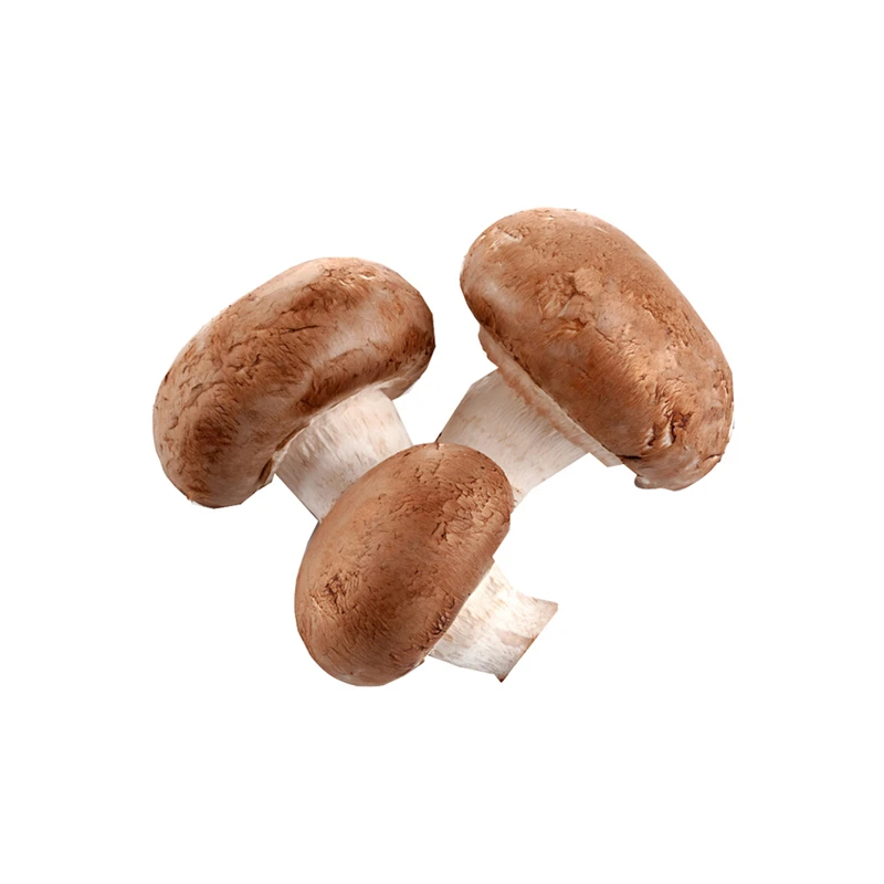 【蔬菜】鲜香菇（份）约200g（促）