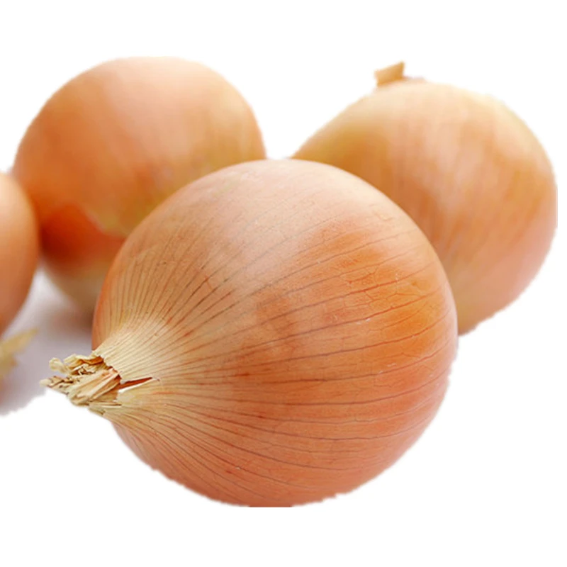 【蔬菜】黄葱头（袋）约500g