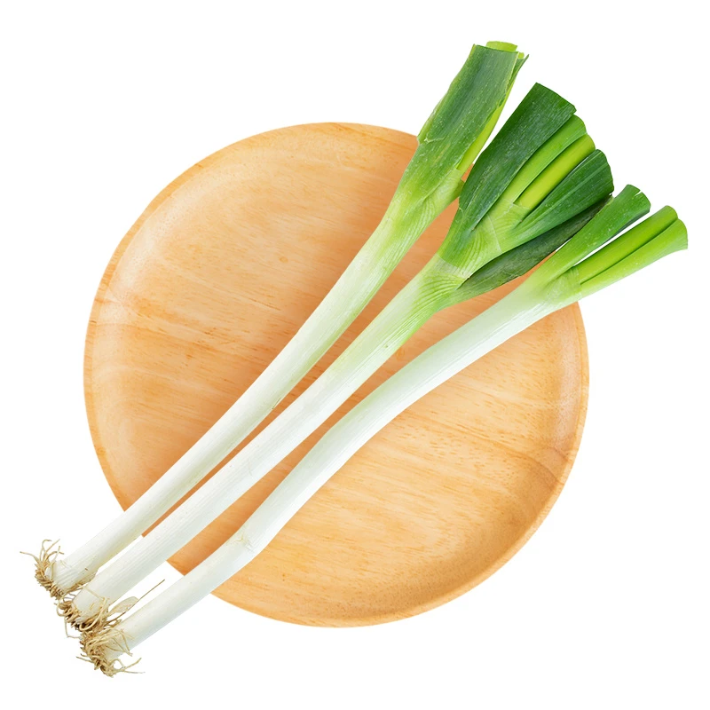 【高山鲜】优鲜多歌大葱约400g/份