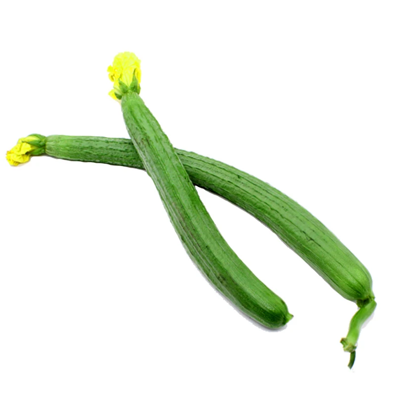 【批批农残检测】新鲜蔬菜 精选丝瓜 约500g /份丝瓜同城配