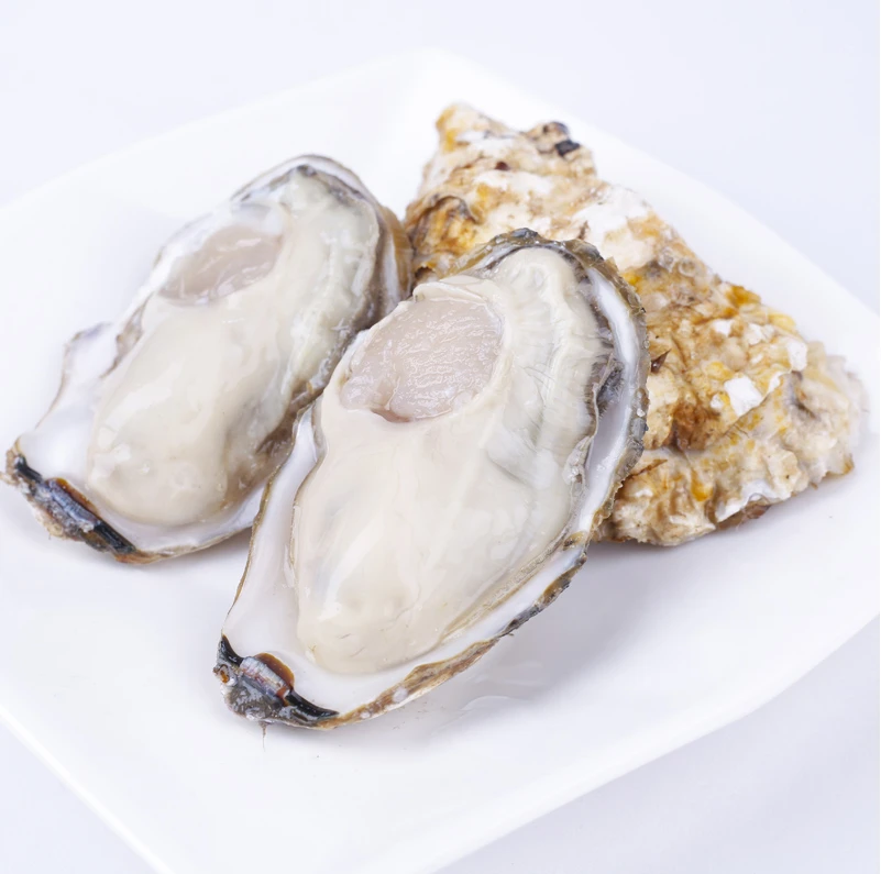 生蚝约500g/份