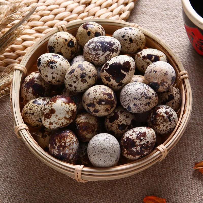 鹌鹑蛋约500g/份