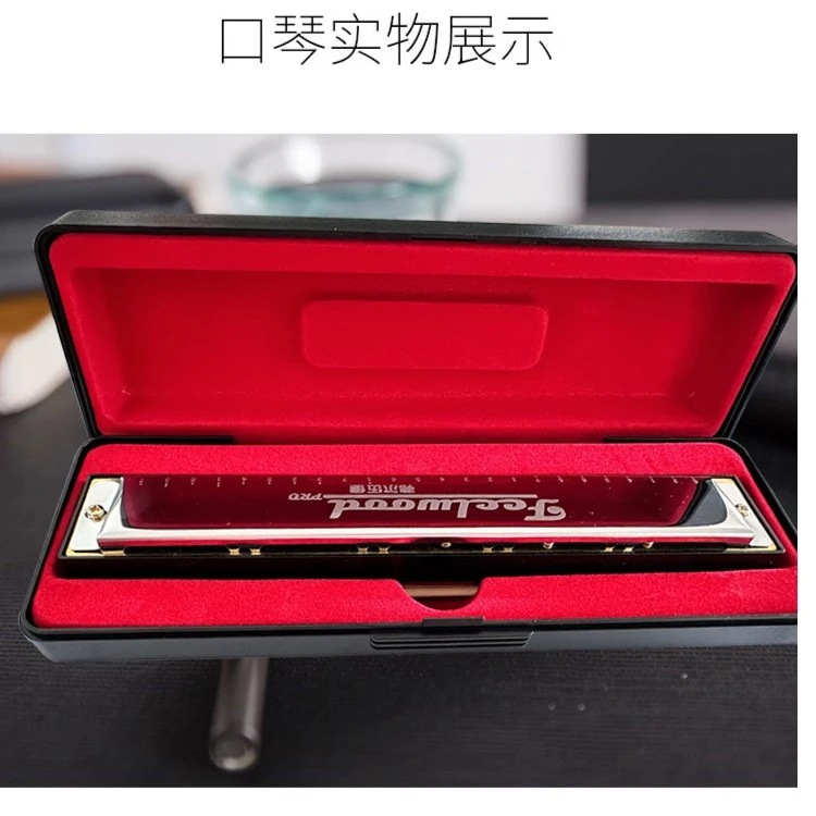 【弗尔伍德】复音口琴24孔C调镜面不锈钢FEELWOODPro成人学习演奏