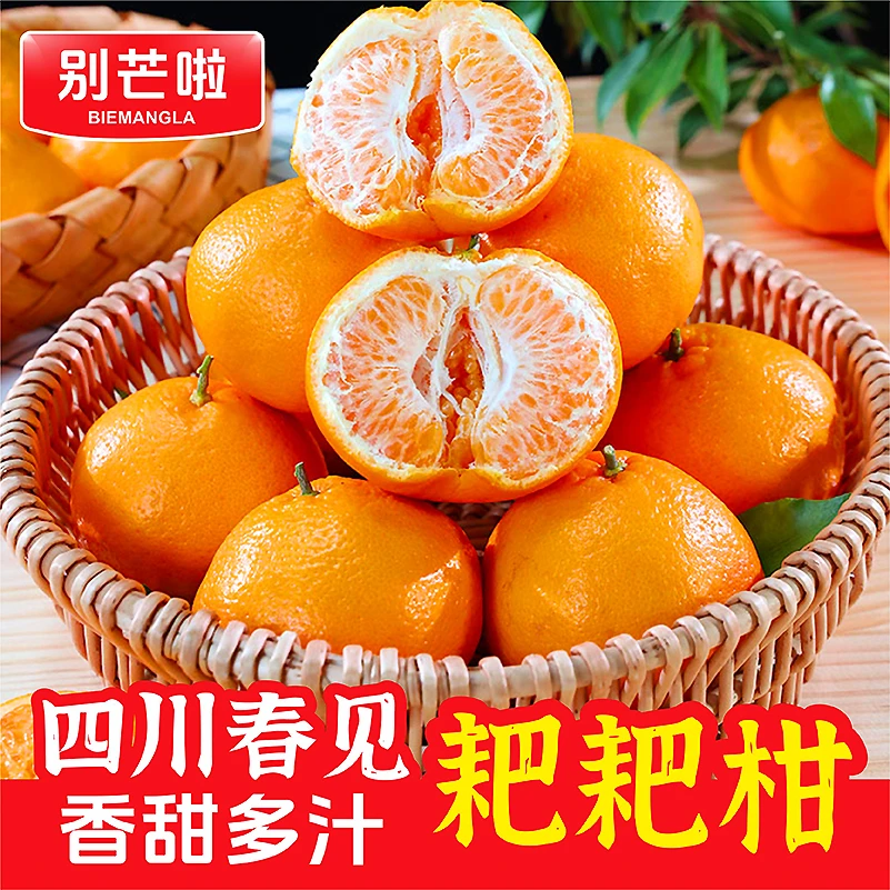 维维【气温低于零度地区】四川春见耙耙柑香甜多汁优质新鲜水果8斤
