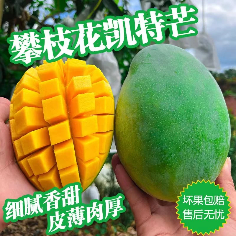 【一级果王】攀枝花凯特芒带箱9.5-10斤(单果600g以上4-7个)坏包赔