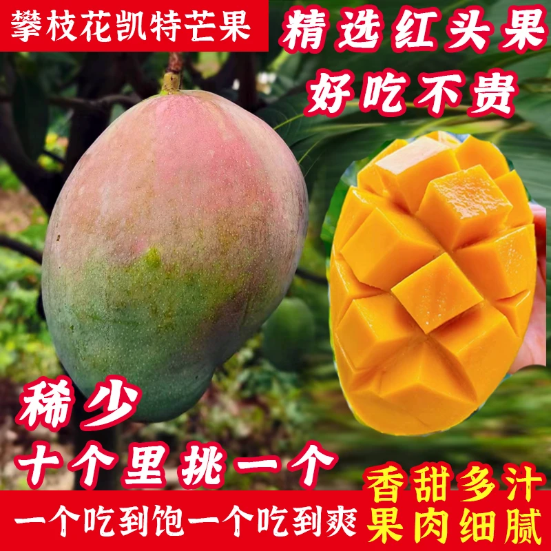 【向阳红头果】攀枝花凯特芒果香甜多汁大芒果5/8斤