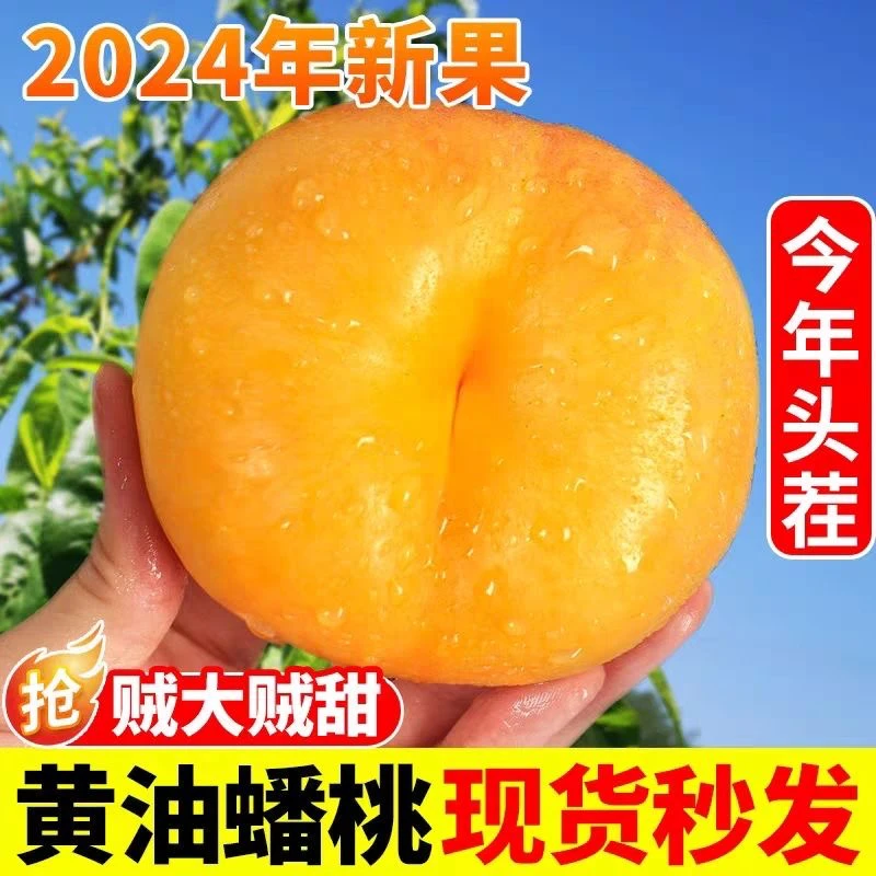 【纯甜爆汁】山东蒙阴彩虹油蟠桃稀有黄油蟠桃黄心油桃扁桃新鲜桃
