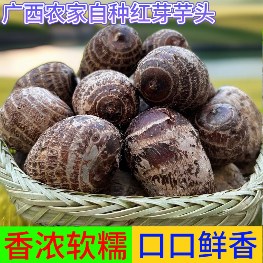 【5斤装】广西农家红芽芋头（中大果混装）
