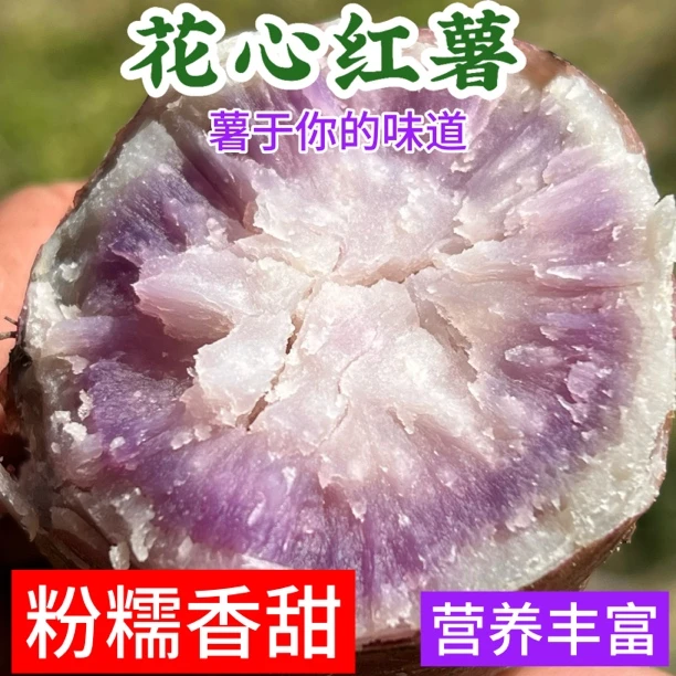 【5斤装】老品种农家花心红薯（中大果混装）