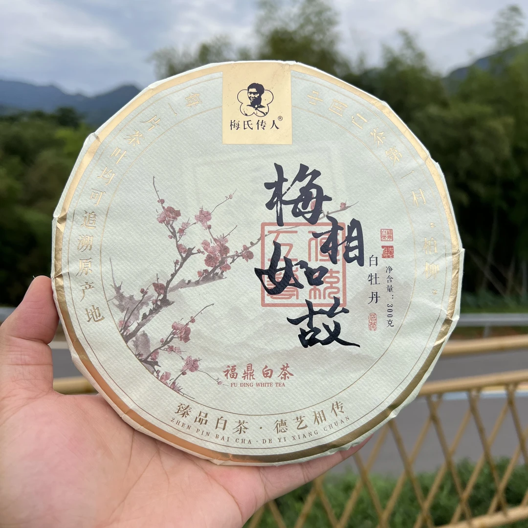 【梅家】柏柳村 · 梅相如故2022年白牡丹饼300g
